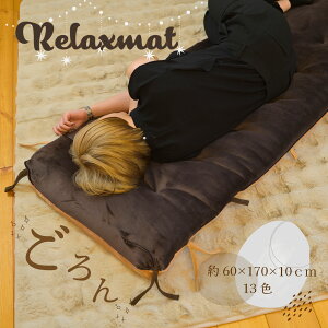 Ɍ10cm Q}bg zc NbV w 傫 ӂӂ  {X Iׂ13F G[X uڋ12v