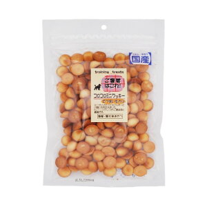 G[Xv_Nc J̓R! RR~jNbL[ ܂ 100g 4544012511568