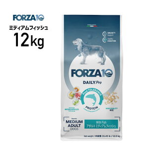 �m���K�i�nFORZA10 �t�H���c�@ �f�C���[�v�� �A�_���g �~�f�B�A�� �t�B�b�V�� 12kg ��8020245713765��