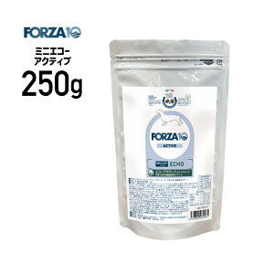 �m���K�i�nFORZA10 �t�H���c�@ �~�j �G�R�[�A�N�e�B�u 250g ��4573322072261��