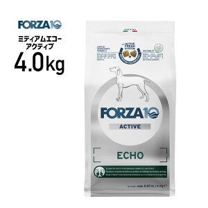 �m���K�i�nFORZA10 �t�H���c�@ �~�f�B�A�� �G�R�[�A�N�e�B�u 4.0kg ��8020245714373��