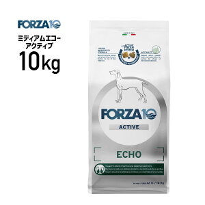 �m���K�i�nFORZA10 �t�H���c�@ �~�f�B�A�� �G�R�[�A�N�e�B�u 10kg ��8020245714366��