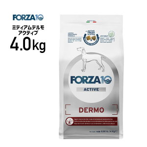 �m���K�i�nFORZA10 �t�H���c�@ �~�f�B�A�� �f���� �A�N�e�B�u 4.0kg ��8020245714267��