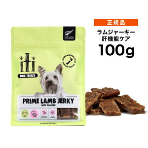 y|Cg15{ziti CeBhbOg[c W[L[ ̋@\PA 100g 0763769047487 [Ki   J ]