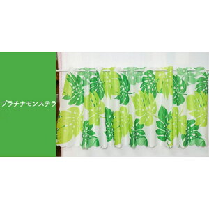 JtFJ[e  ɂ 145×45 145×72 􂦂  C Lb`  J[e J[e pJ[e 􂦂J[e CJ[e CډB C̑ 