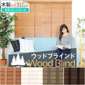 uChJ[e ؐ EbhuCh ؖ Xbg50mm _[e[v  ՔM ʕ 50~130cm  Vv J[e q a m 1l炵