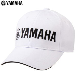 y|CgʊҌIz11/3܂Ł@}n Y X^_[h Lbv Y22CP1 W zCg StEFA