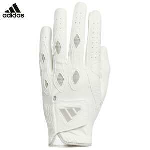 yubNtCf[N[|őSi10{őP10{Iz11/26܂Ł@AfB_X Y MULTIFIT }`tBbg 24 StO[u IKL21 IN6693 zCg/O[c[ [2024Nf]