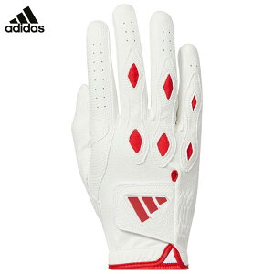 yubNtCf[N[|őSi10{őP10{Iz11/26܂Ł@AfB_X Y MULTIFIT }`tBbg 24 Ep StO[u IKL21 IN6694 zCg/uCgbh [2024Nf