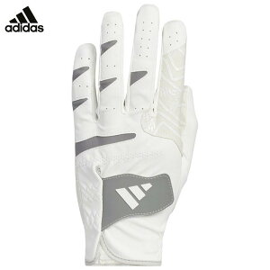 AfB_X Y CODECHAOS R[hJIX 25 StO[u JTY37 IS6547 zCg/O[X[ [2024Nf]