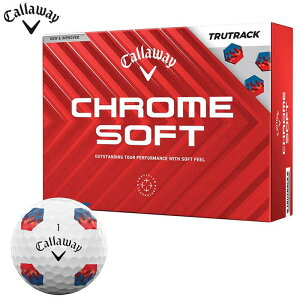 ySi10N[|{őP10{Iz11/10܂Ł@LEFC CHROME SOFT TRUTRACK N \tg St{[@1_[Xi12j gD[gbN bh/u[ [2024Nf] 