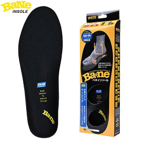 y|CgʊҌIz11/3܂Ł@Bane Insole Basic olC\[ x[VbN