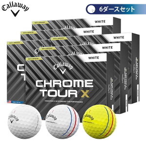 LEFC CHROME TOUR X N cA[X St{[@6_[XZbg i12×6j [2024Nf]