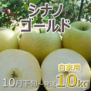 ڗLYIƗpVimS[h10kg쌧RmYkCEElEBEꗣ͑ʓr