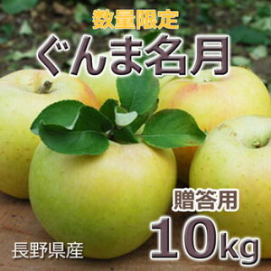 т񂿂́uܖvp10kgi20`32ʑOj쌧Yꗣ͑ʓr