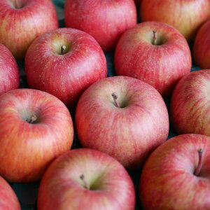 GTӂ10kgi32`36ʑOj쌧RmYꗣ͑ʓr