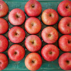 GiTӂ5kgi16`18ʑOjȃLYAAU蒷쌧RmYꗣ͑ʓr