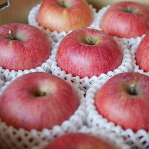 Gi@Tӂ3kgi9ʑOjȃLYAAU蒷쌧RmYkCEElEBEꗣ͑ʓr