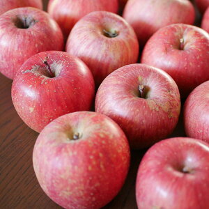 家庭用サンふじ10kg(主は32〜36玉前後)目立つキズ、アザあり長野県山ノ内町産★沖縄離島は送料別途