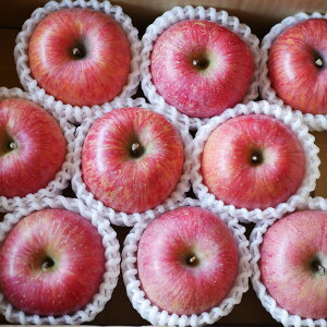 GTӂ3kgi10ʑOj쌧RmYkCEElEBEꗣ͑ʓr