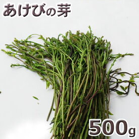 楽天市場 山菜 あけびの芽の通販 楽天市場 山菜 あけびの芽の通販
