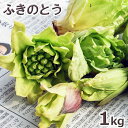 フキノトウ1kg予約販売【3月中旬前〜発送予定】天然山菜・ふきのとうまとめて1kg(大小バラ詰め)※送料別(クール便)