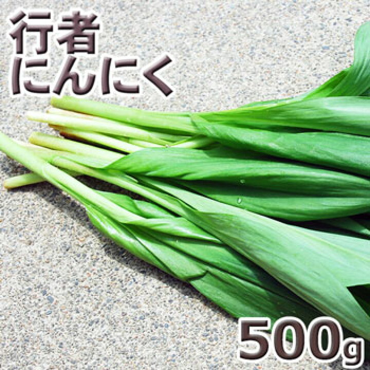 楽天市場】予約・天然山菜【葉が開いた】行者にんにく500g(大小 