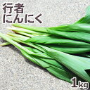予約・天然山菜【葉が開いた】行者にんにく1kg(大小バラ詰め)5月中旬〜出荷予定