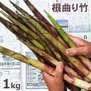 予約・天然山菜根曲がり竹1kg(大小バラ詰め)　食べられる部分は3分の1程度6月中旬～出荷予定長野県・志賀高原産