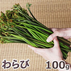 予約天然山菜・ワラビ100g(大小バラ詰め)5月下旬～出荷予定※送料別(クール便)