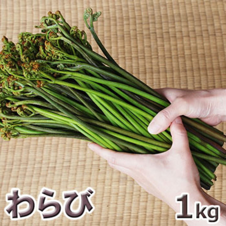 楽天市場】予約・天然ワラビ1kg(大小バラ詰め)あく抜き用灰汁付き5 