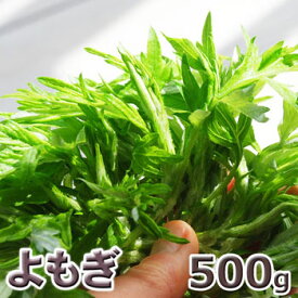 予約天然山菜・ヨモギ500g(大小バラ詰め)5月中旬〜出荷予定※送料別(クール便)