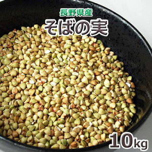 2024NY쌧Yu΂̎i۔jv10kgi5kg×2ܓj