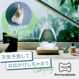 |Cg10{I ȂIWiВt@l̃u`ŏЉITempo Drop/e|hbv iVC\AXg[OXA100percent Perrocaliente/yJGe ^ Mtgv[g V
