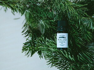 NALUQ_i[NGbZVIC@i[N@kC~Y@GbZVIC@C@@@X̍@gh}c@Abies sachalinensis Masters@hokkaido momi@essential oil@[