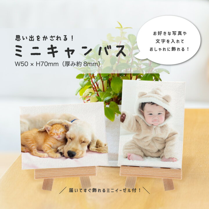 楽天市場】世界に1つだけの オリジナル ミニキャンバス オーダーメイド 