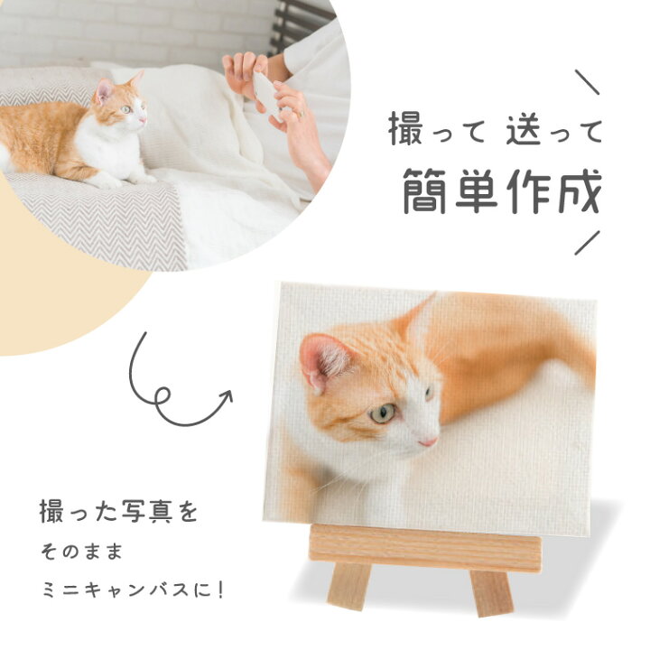 楽天市場】世界に1つだけの オリジナル ミニキャンバス オーダーメイド 