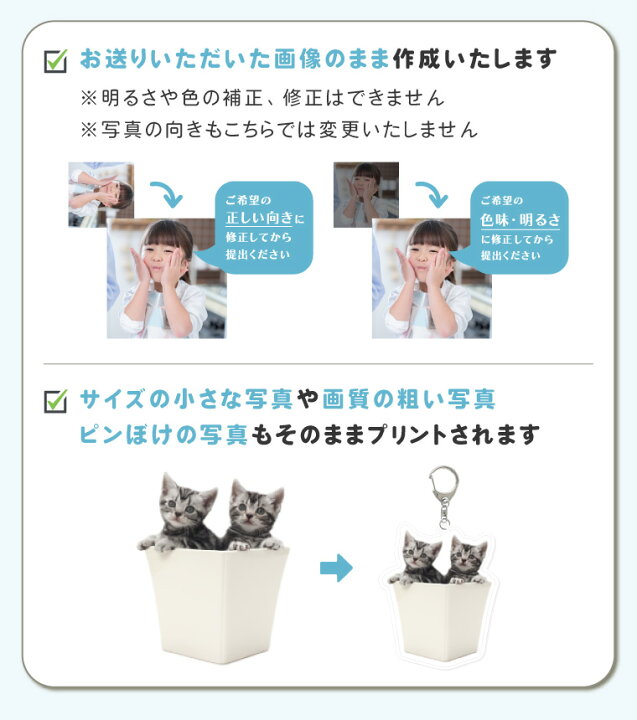 楽天市場】オリジナル アクリルキーホルダー うちの子 アクキー 