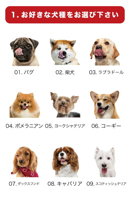 楽天市場 好きな犬種と背景を選んで名入れできる グリップケース 名入れ Iphoneケース 文字入り スマホケース Iphone13 Mini Pro ケース Iphone12 Iphone11 Iphonese 第2世代 Iphone8 Tpuケース 耐衝撃 おしゃれ 犬 いぬ 名入れ プレゼント Arigato Mart