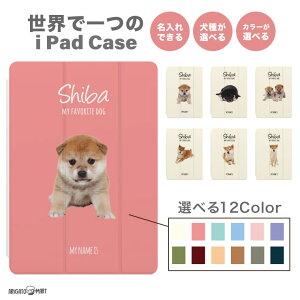  wi iPad P[X A16 10 9 8 7 6 킢 ؍ 10.9C` 10.2C` iPad Air M3 M2 11C` 13C` Air5 Air4 iPad mini A17 Pro mini6 mini5 iPad Pro M4 Jo[  