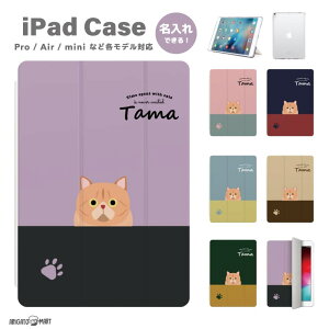 v[g iPad P[X A16 10 9 8 7 6 킢 ؍ 10.9C` 10.2C` iPad Air M3 M2 11C` 13C` Air5 Air4 iPad mini A17 Pro mini6 mini5 iPad Pro M4 Jo[ 