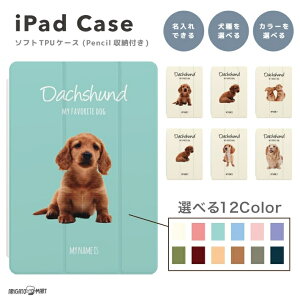  wi iPad P[X Jo[ y[ A16 10 9 8 7 6 ؍  10.9C` 10.2C` iPad Air M3 M2 11C` 13C` Air5 Air4 iPad mini A17 Pro mini6 mini5 iPad Pro M4 J