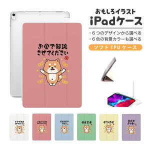  CXg iPad P[X Jo[ y[ 10 9 8 7 6 ؍  10.9C` 10.2C` iPad Air M2 11C` 13C` Air5 Air4 iPad mini A17 Pro mini6 mini5 iPad Pro 12.9