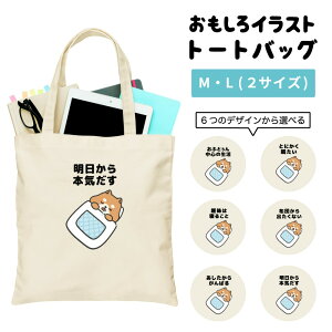  g[gobO 킢 CXg fB[X Y   LoX }U[YobO }} g[g GRobO WobO W vg 킢  {  