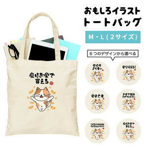  g[gobO 킢 CXg fB[X Y   LoX }U[YobO }} g[g GRobO WobO W vg 킢  {  