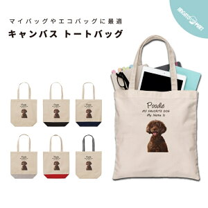  v[g g[gobO  fB[X Y LoX }U[YobO }} g[g GRobO WobO W vg 킢    v[h 񂿂 