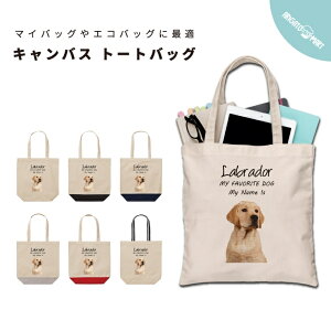 v[g  g[gobO  fB[X Y LoX }U[YobO }} g[g GRobO WobO W vg 킢    uh[go