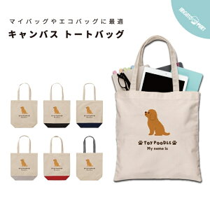  g[gobO v[g  fB[X Y LoX }U[YobO }} g[g GRobO WobO W vg 킢  v[h  