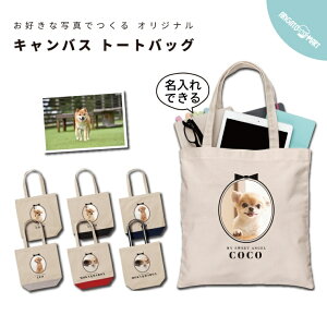 DȎʐ^  I[_[Ch v[g g[gobO  obO  fB[X Y LoX }U[YobO }} g[g GRobO WobO W vg 