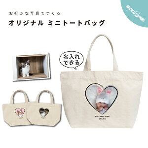 DȎʐ^  v[g ~jg[gobO ~jobO LoX g[gobO  fB[X Y  `obO GRobO STCY vg i`  